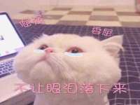 江苏众明禾商贸有限公司