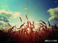 江苏众明禾商贸有限公司