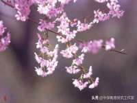 江苏众明禾商贸有限公司