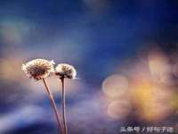 江苏众明禾商贸有限公司