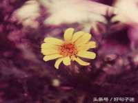 江苏众明禾商贸有限公司