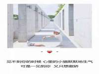 江苏众明禾商贸有限公司