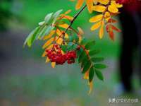 江苏众明禾商贸有限公司