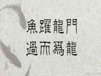 江苏众明禾商贸有限公司