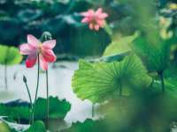 江苏众明禾商贸有限公司
