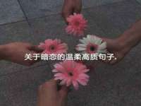 江苏众明禾商贸有限公司