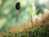 江苏众明禾商贸有限公司