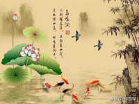 江苏众明禾商贸有限公司