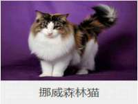 江苏众明禾商贸有限公司