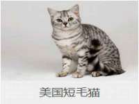江苏众明禾商贸有限公司