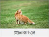 江苏众明禾商贸有限公司