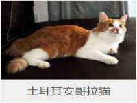 江苏众明禾商贸有限公司