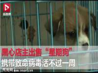 江苏众明禾商贸有限公司