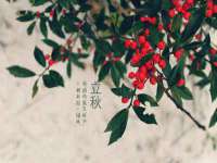 江苏众明禾商贸有限公司