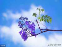 江苏众明禾商贸有限公司