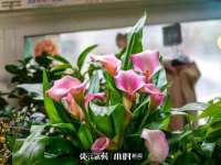 江苏众明禾商贸有限公司