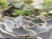 江苏众明禾商贸有限公司