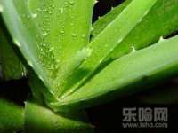 江苏众明禾商贸有限公司