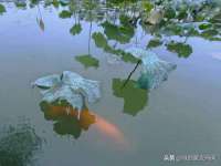 江苏众明禾商贸有限公司