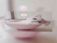 江苏众明禾商贸有限公司