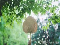 江苏众明禾商贸有限公司
