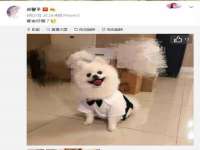 江苏众明禾商贸有限公司