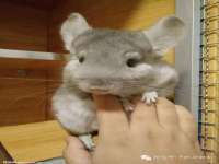 江苏众明禾商贸有限公司