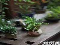 江苏众明禾商贸有限公司