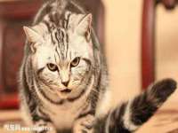 江苏众明禾商贸有限公司