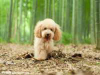 江苏众明禾商贸有限公司