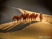 江苏众明禾商贸有限公司