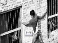 江苏众明禾商贸有限公司