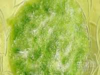 江苏众明禾商贸有限公司