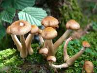 江苏众明禾商贸有限公司