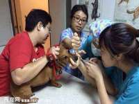 江苏众明禾商贸有限公司