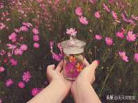江苏众明禾商贸有限公司