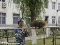 江苏众明禾商贸有限公司